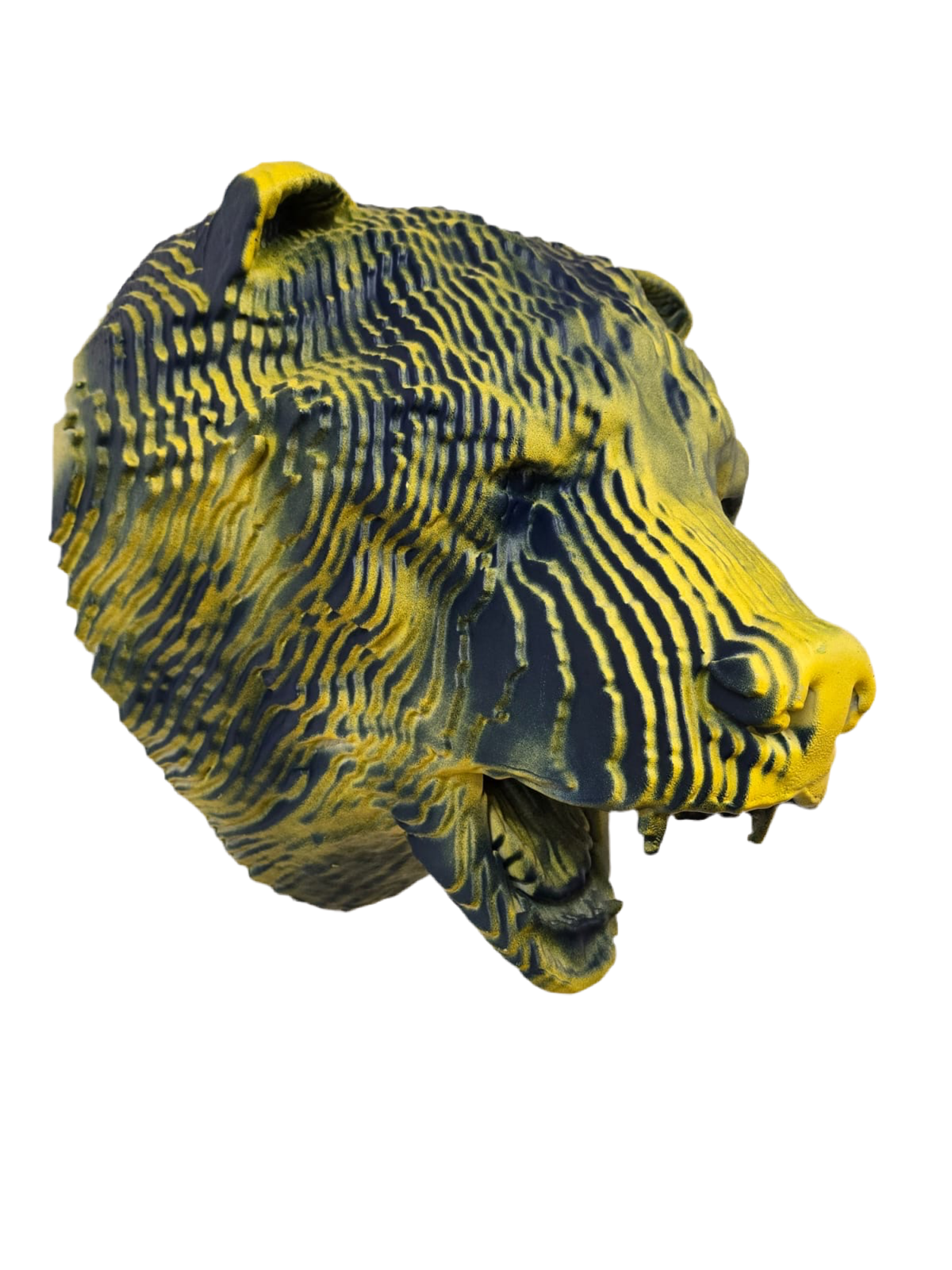 Trophée tête d’ours 3D