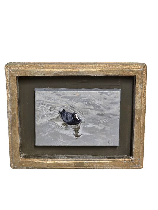 Tableau Poule d’eau - GR