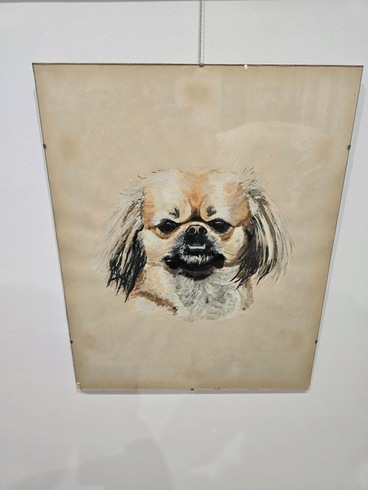 Tableau vitré chien