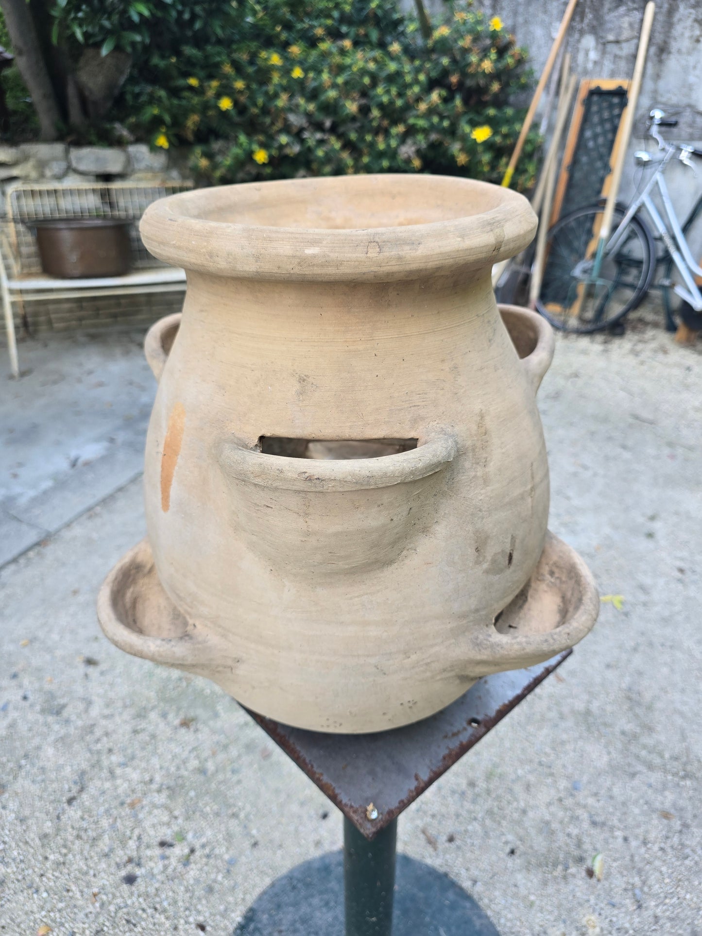 Jarre a fraisier- vieux biot