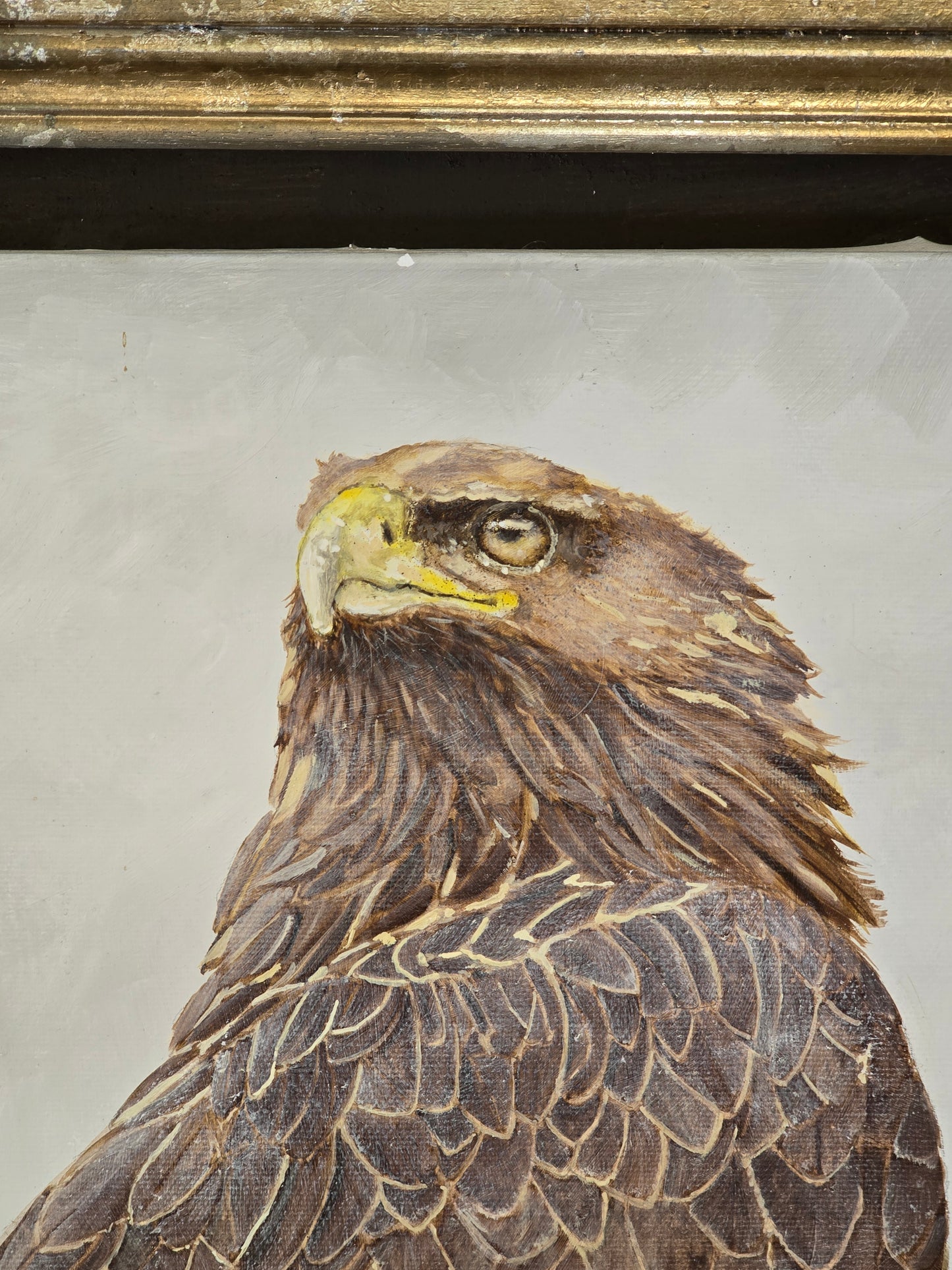Tableau Aigle royale - GR