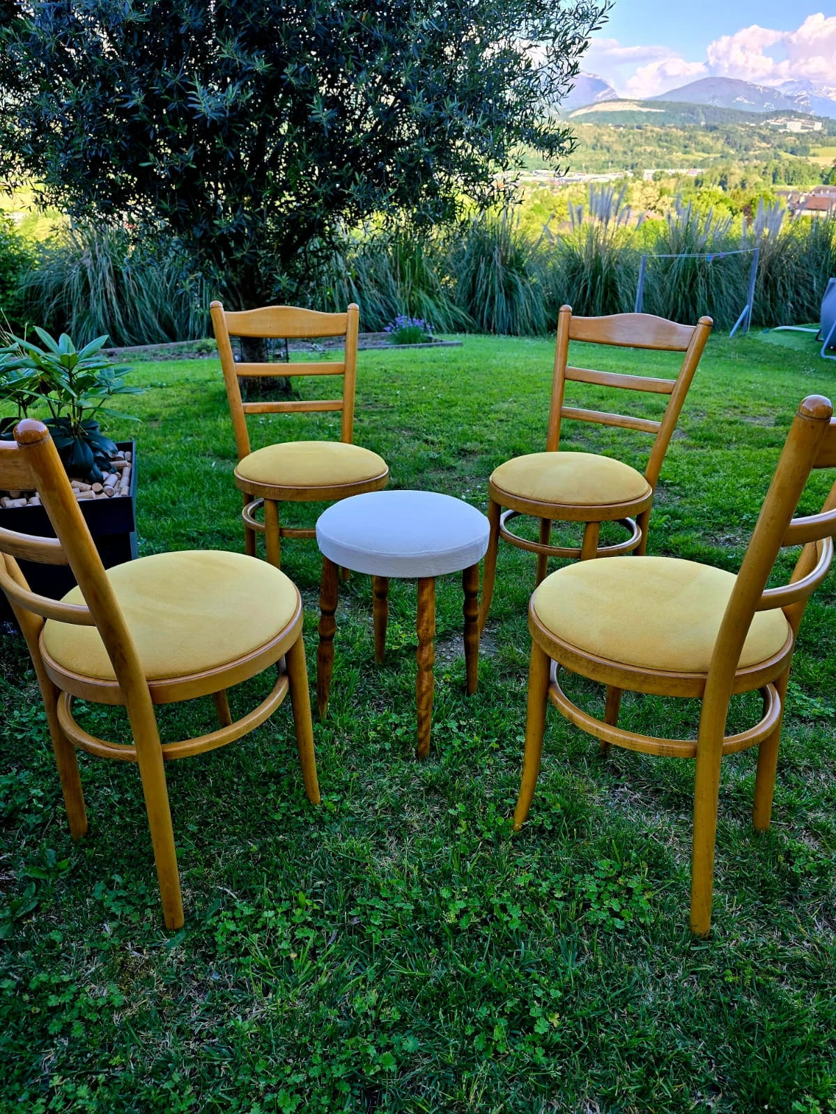 Assises
