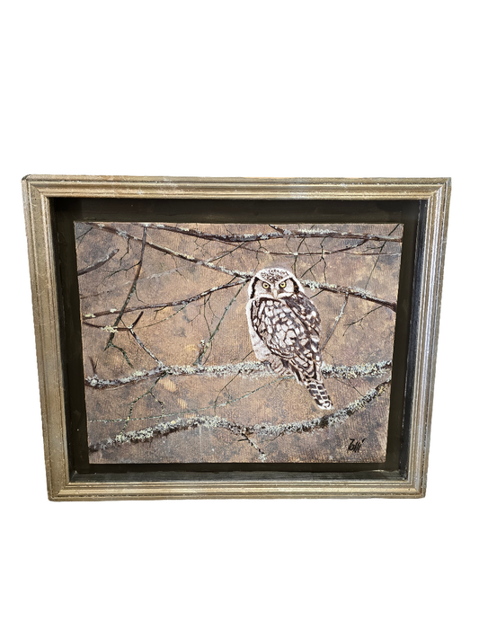 Tableau Chouette épervière - GR