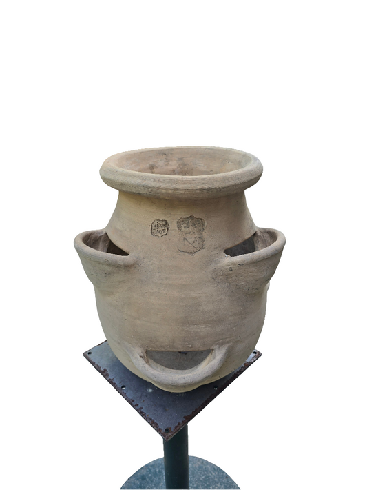 Jarre a fraisier- vieux biot