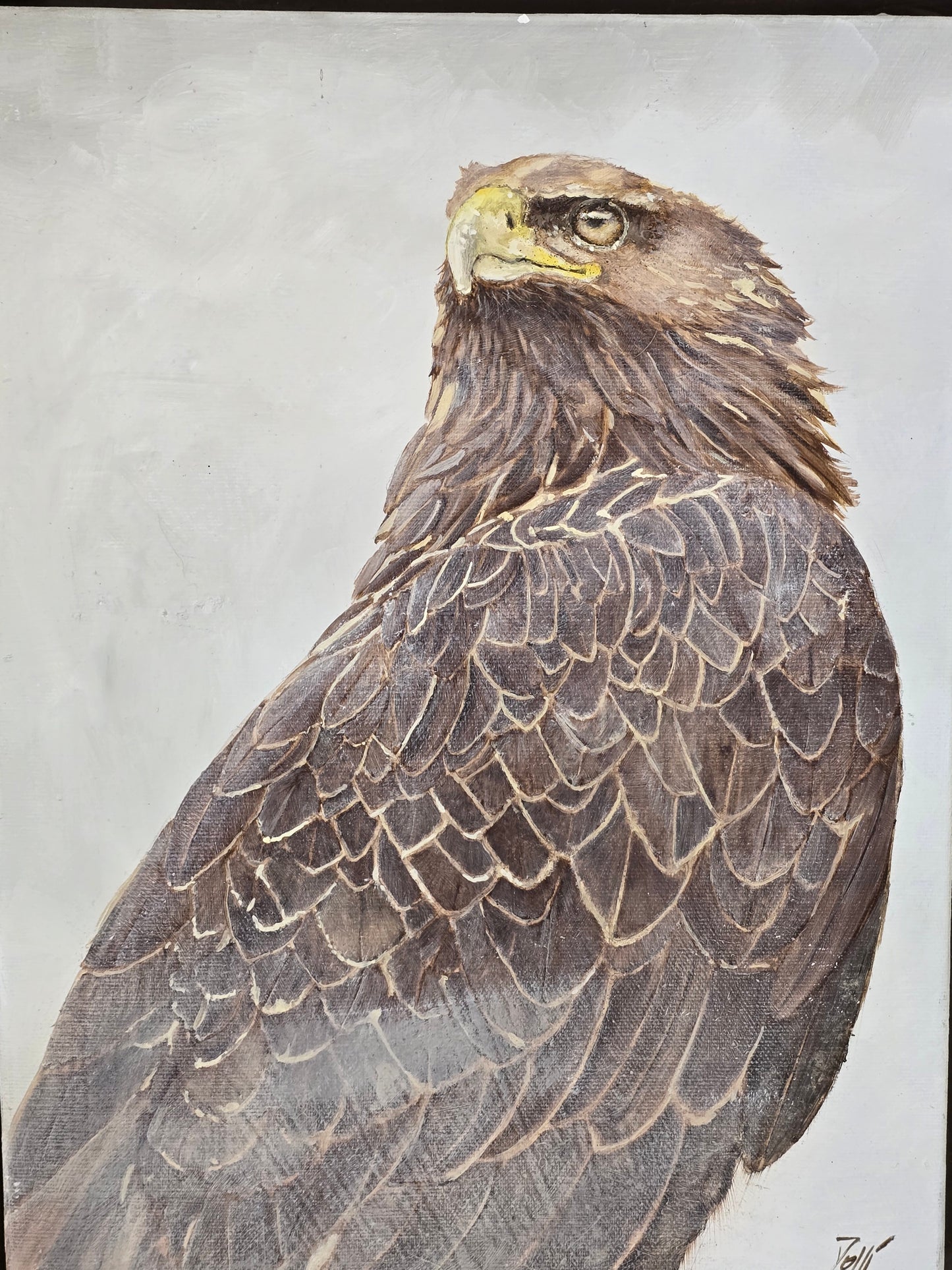 Tableau Aigle royale - GR