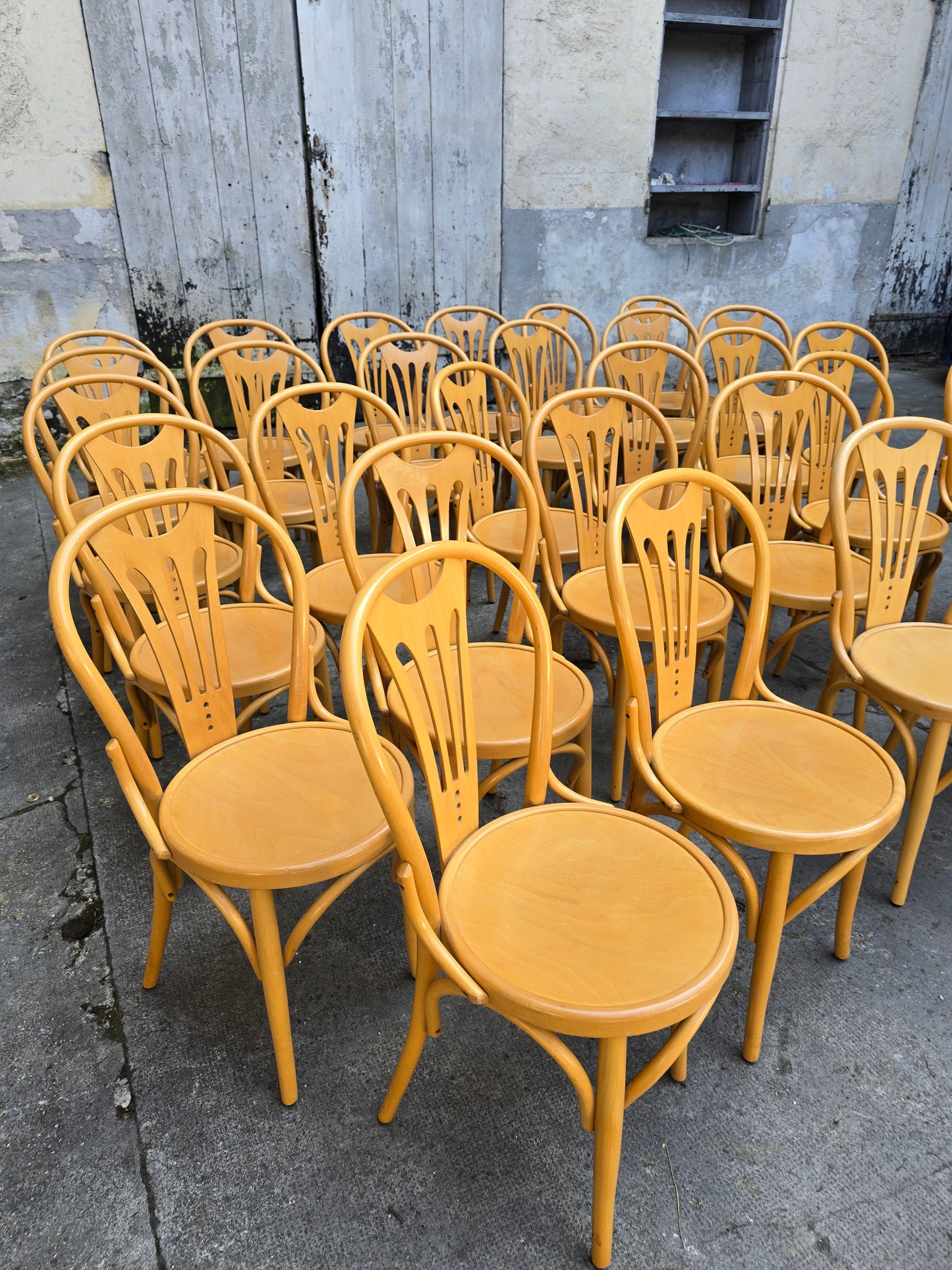 Chaise bistrot en bois cintré- type Thonet