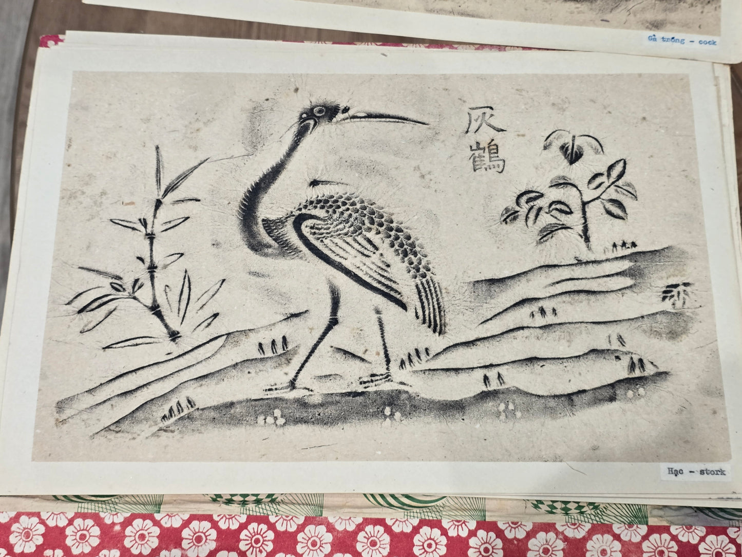 Album ancien de frottages vietnamiens – Bas-reliefs des Cửu Đỉnh (Huế) – Série complète d’oiseaux – Rubbings traditionnels