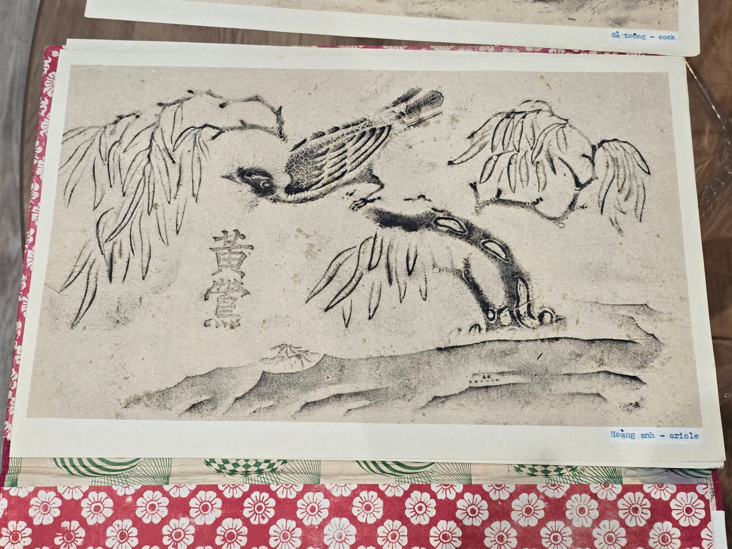 Album ancien de frottages vietnamiens – Bas-reliefs des Cửu Đỉnh (Huế) – Série complète d’oiseaux – Rubbings traditionnels